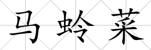 馬蛉菜