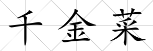 千金菜