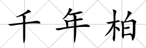 千年柏