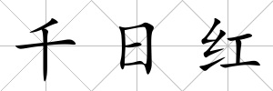 千日紅