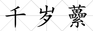 千歲虆