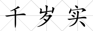 千歲實