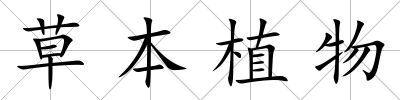 草本植物