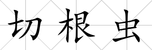 切根蟲