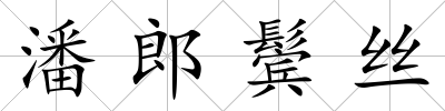 潘郎鬢絲