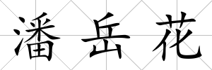 潘岳花