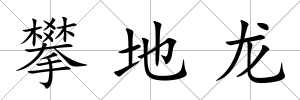 攀地龍