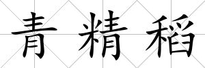 青精稻