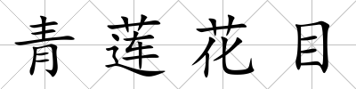 青蓮花目