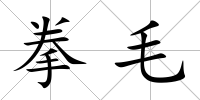 拳毛