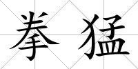拳猛
