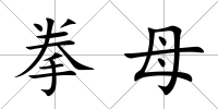 拳母