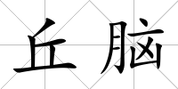 丘腦