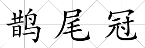 鵲尾冠