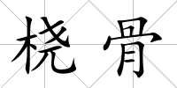 橈骨
