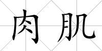 肉肌