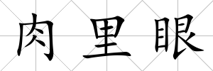 肉里眼