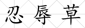 忍辱草