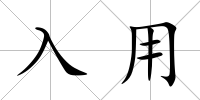 入用