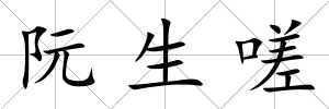 阮生嗟