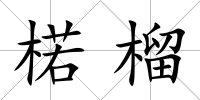 楉榴