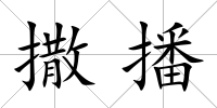 撒播