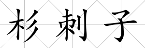 杉刺子