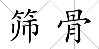 篩骨