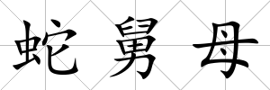 蛇舅母