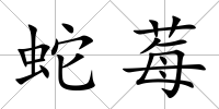 蛇莓