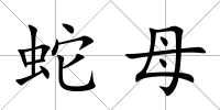 蛇母