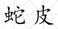蛇皮