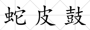 蛇皮鼓