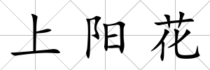 上陽花