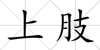 上肢