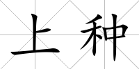 上種