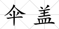 傘蓋