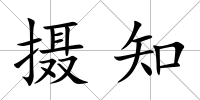 攝知