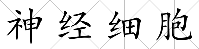 神經(jīng)細(xì)胞