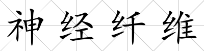 神經纖維