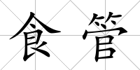 食管
