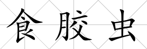 食膠蟲