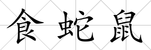 食蛇鼠