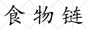食物鏈