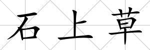石上草