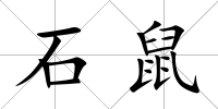 石鼠