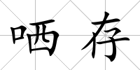 哂存