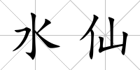 水仙