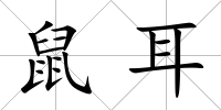 鼠耳
