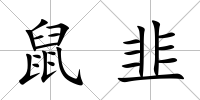 鼠韭